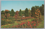 Chocolate Town, Hershey Park, Pennsylvania, USA, Vintage Post Card.