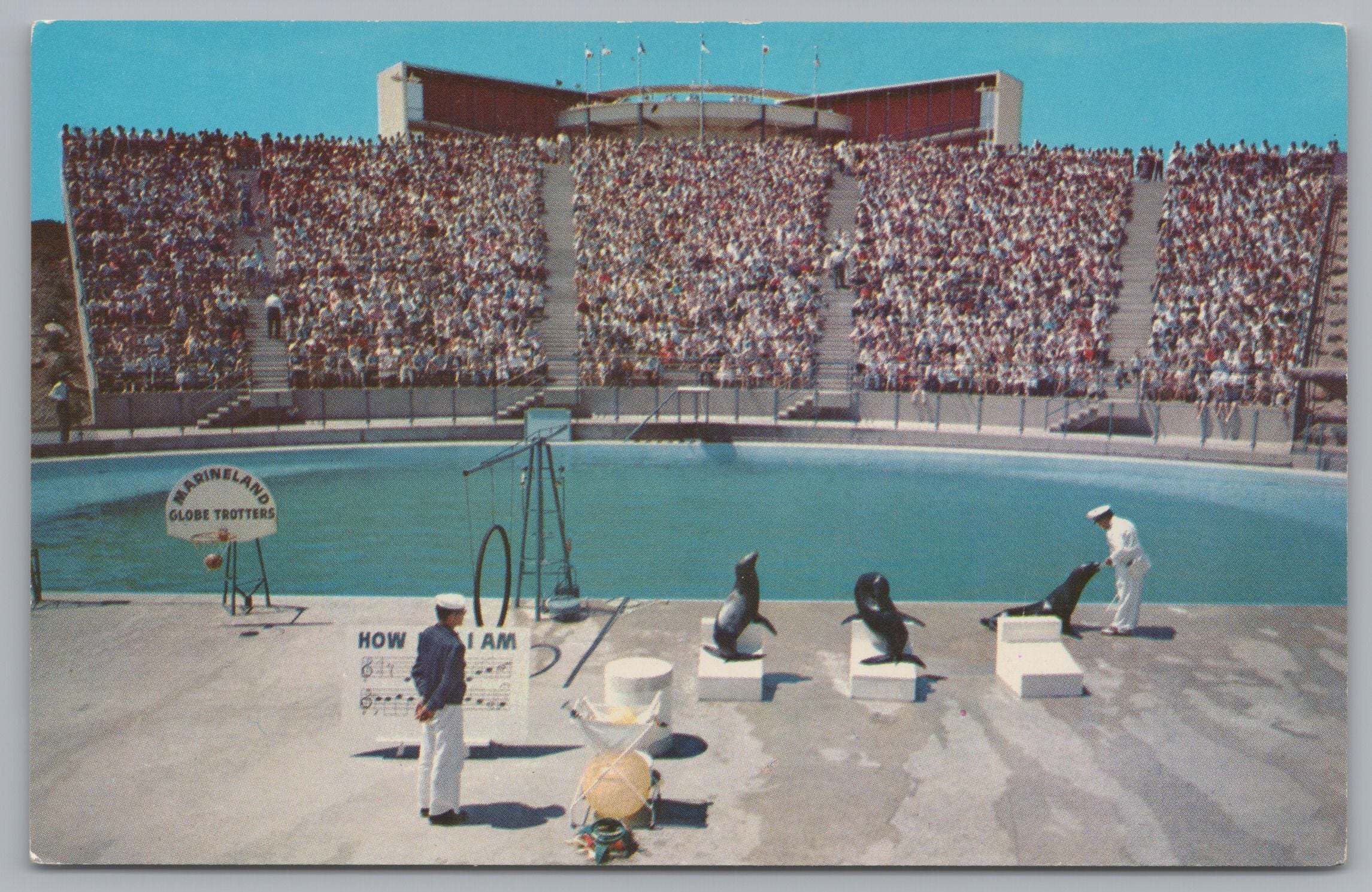 Sea Arena From Backstage, Marineland Of The Pacific, Vintage Post Card.