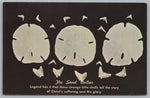 The Sand Dollar’s 5 Holes Represents Jesus Sacrifice, Vintage Post Card