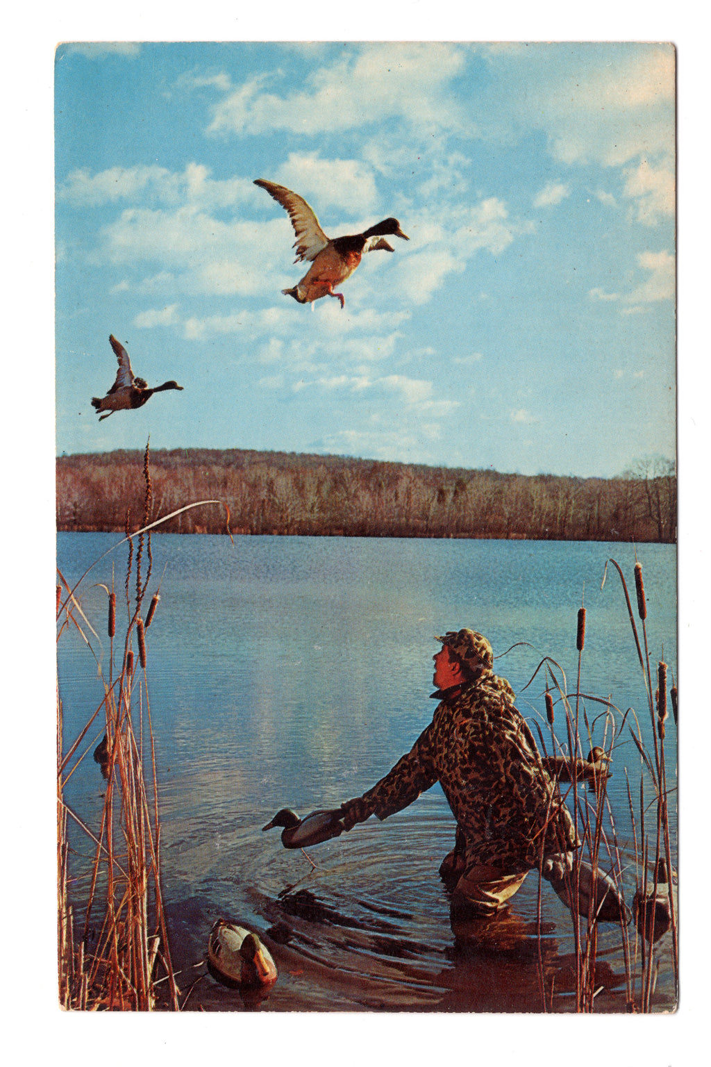 Duck Hunting in East Waterford, Pennsylvania, Vintage Post Card