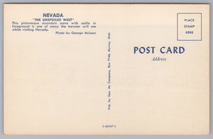 The Unspoiled West, Nevada, Cattle, Mountains, USA, Vintage Post Card.