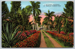 Beautiful Residence Entrance In Tropical Florida, USA, Vintage PC