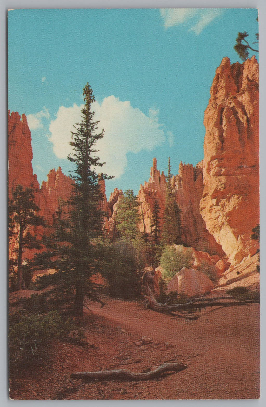 Trail Below Sunset Point, Bryce Canyon National Park, Utah, Vintage Post Card.