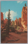 Trail Below Sunset Point, Bryce Canyon National Park, Utah, Vintage Post Card.