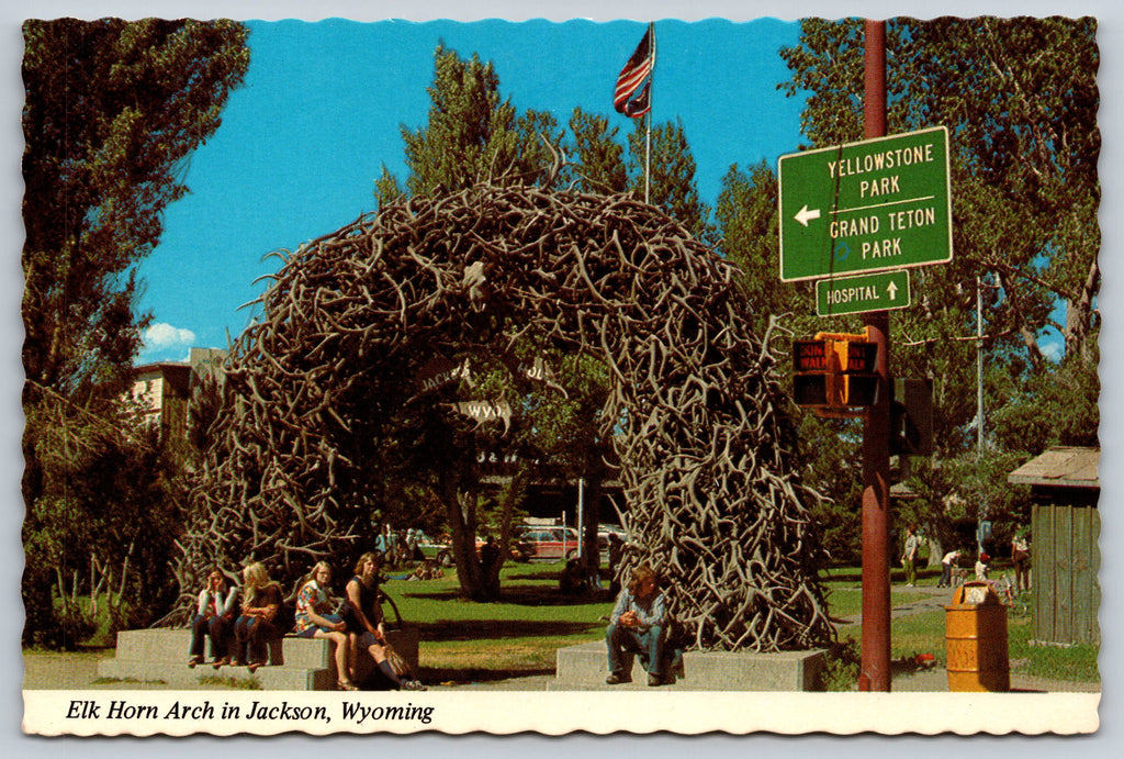 Elk Horn Arch, Jackson, Wyoming, Vintage Post Card