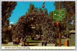 Elk Horn Arch, Jackson, Wyoming, Vintage Post Card