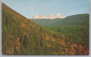 The McKenzie River Highway, Vintage Post Card.