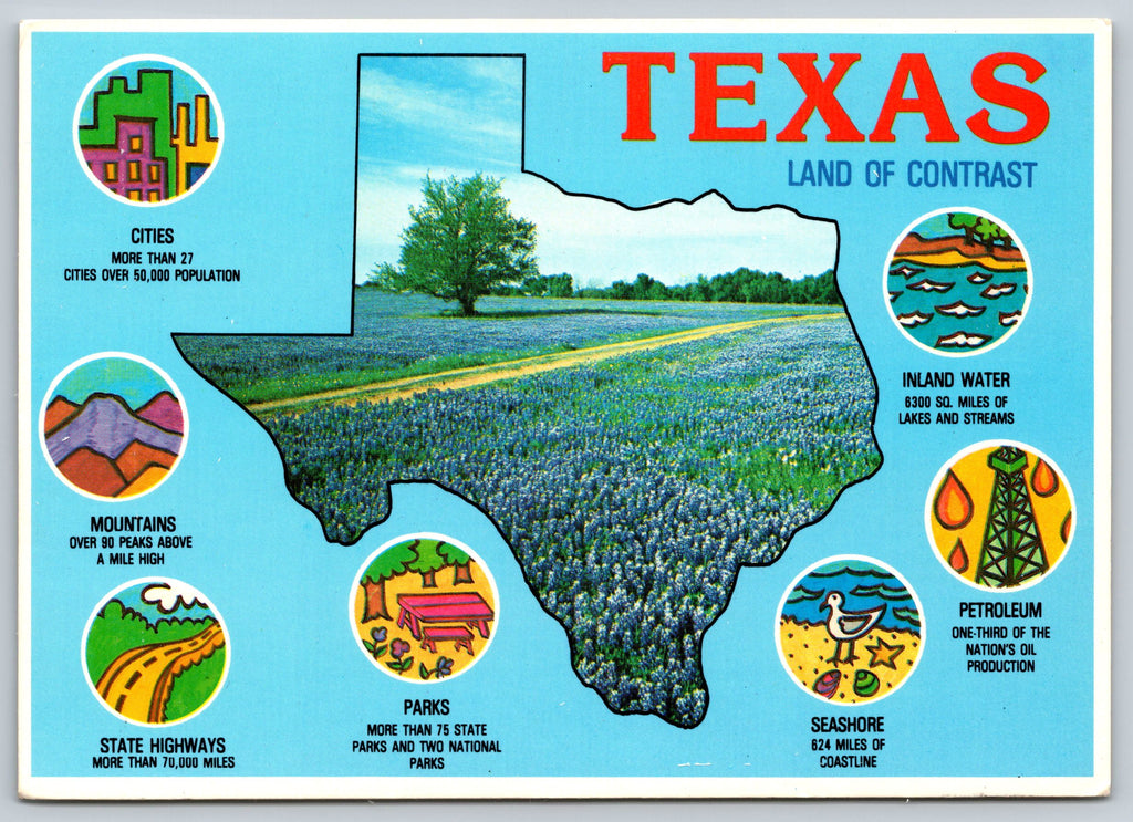 Texas, The Lone Star State, Vintage Post Card