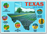Texas, The Lone Star State, Vintage Post Card