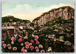 Capri Panorama View, USA, Vintage Post Card