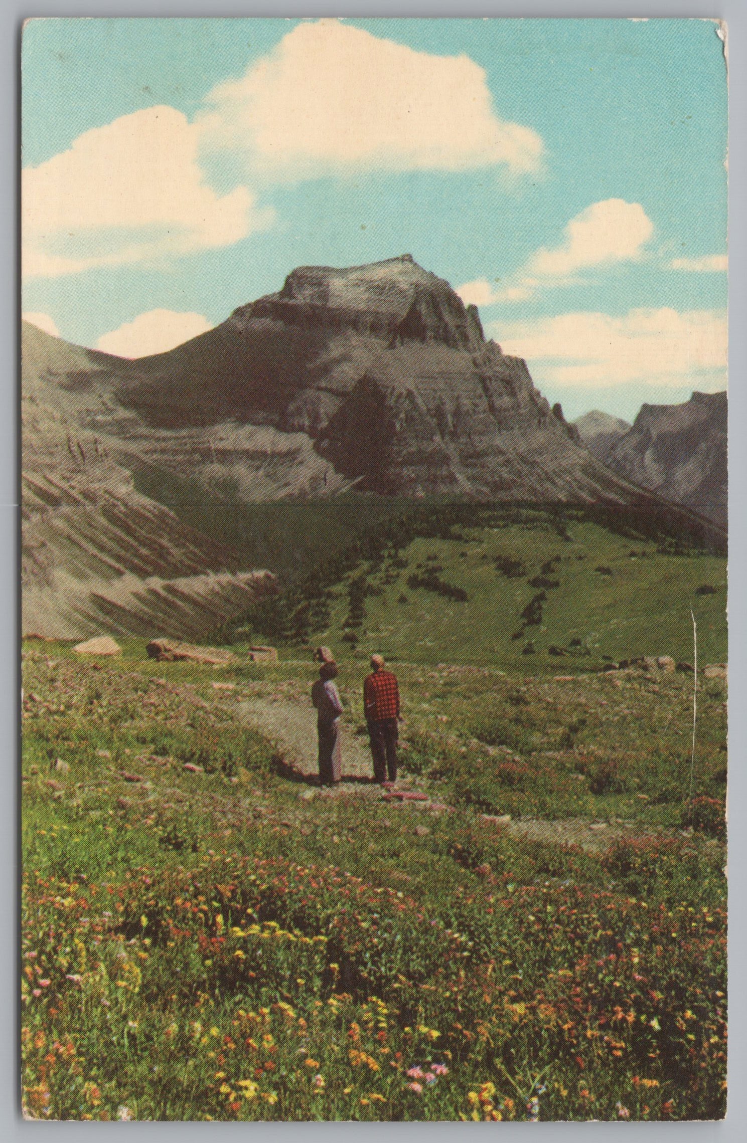 Sun Mountains, Hanging Gardens, Logan Pass, Vintage Post Card
