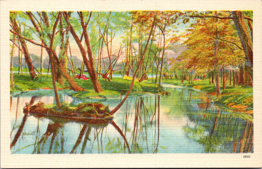 Scenic View, The River Reflection of Colors The Forest Vtg PC