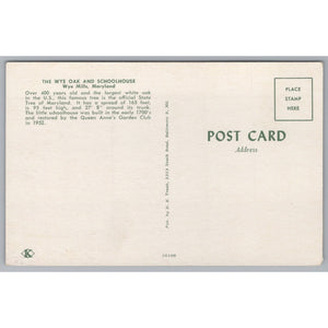 The Wye Oak Schoolhouse, Wye Mills, Maryland, USA, Vintage Post Card