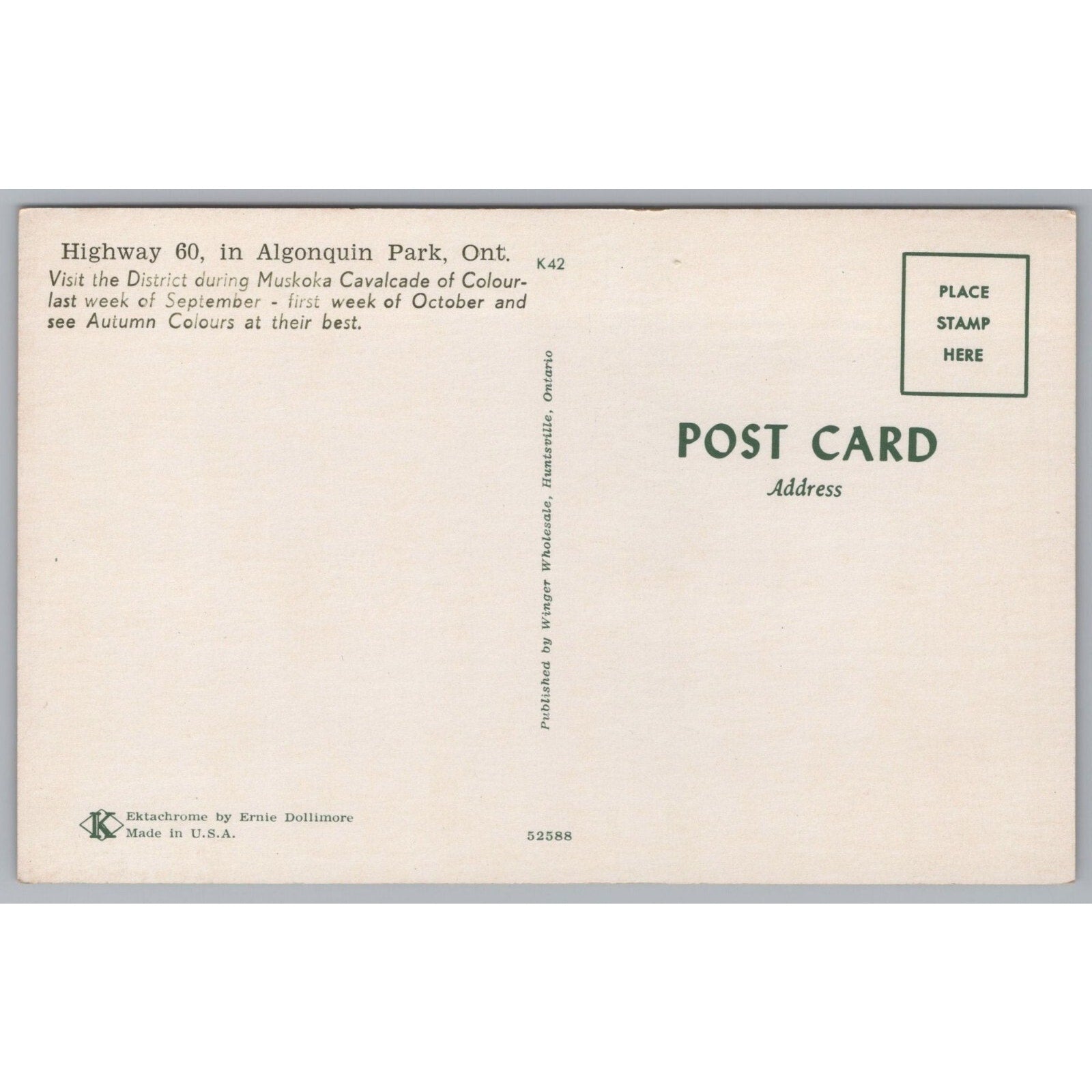 Highway 60, Algonquin, Ontario, Canada, Vintage Post Card.