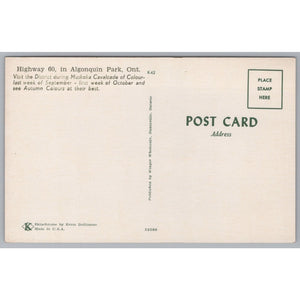 Highway 60, Algonquin, Ontario, Canada, Vintage Post Card.