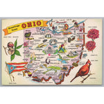 Old Cartoon Map Of Ohio, The Buckeye State, Vintage Post Card.