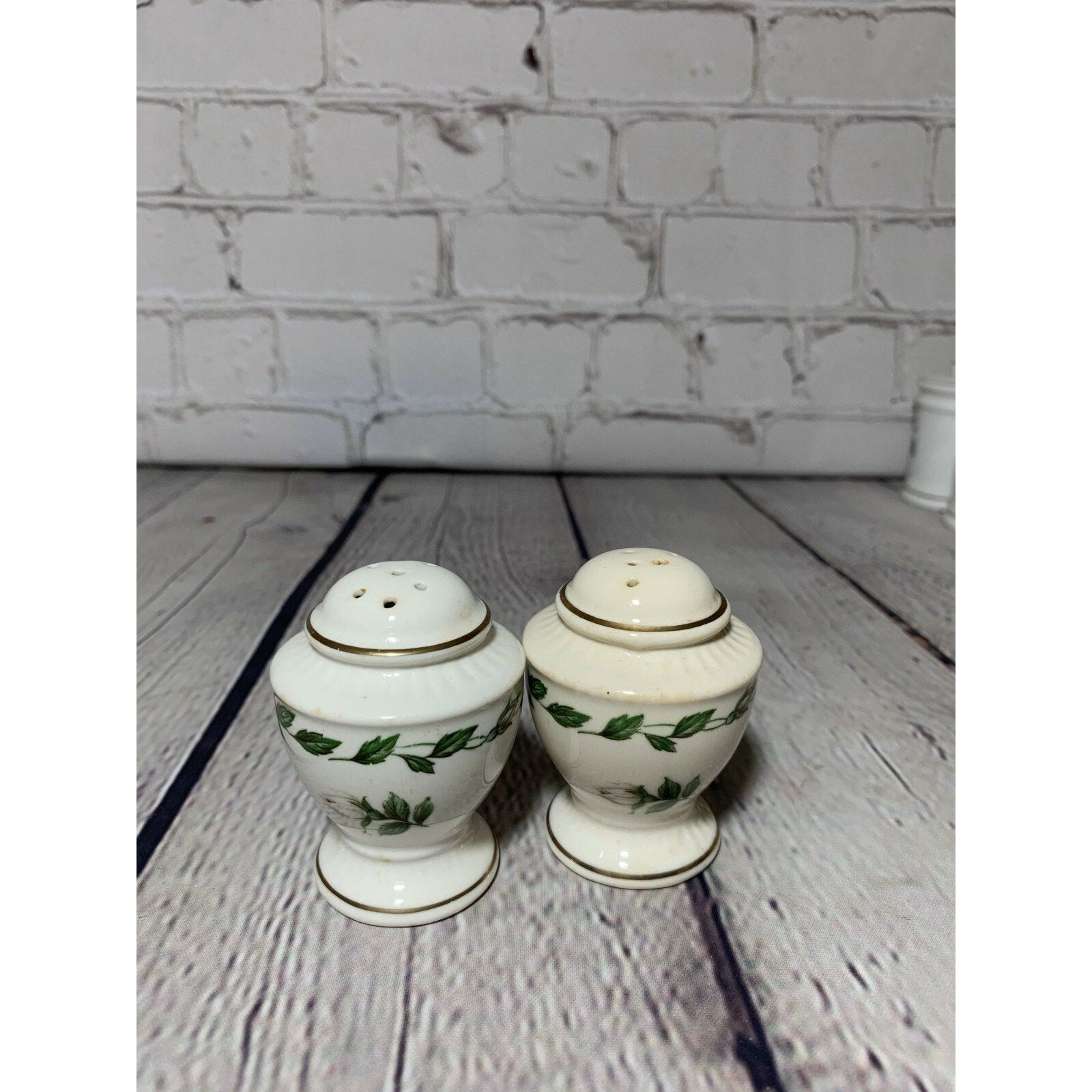 Vintage MCM White Rose Vines Handpainted Fine Porcelain Salt & Pepper Shakers