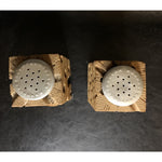 Vintage Cholla Cactus Square Salt & Pepper Shakers Wood