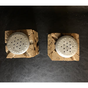 Vintage Cholla Cactus Square Salt & Pepper Shakers Wood