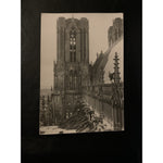 Reims. Marne. La Cathedrale Notre Dame. Tour Sud. Galerie des Rois. B&W RPPC