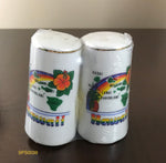 Vintage Ceramic Porcelain Novelty Hawaii Salt Pepper Shakers - 1990's